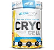 Предтренировочный комплекс Cryo Cell 486 гр от Everbuild